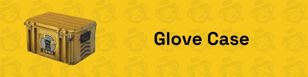 Glove Case