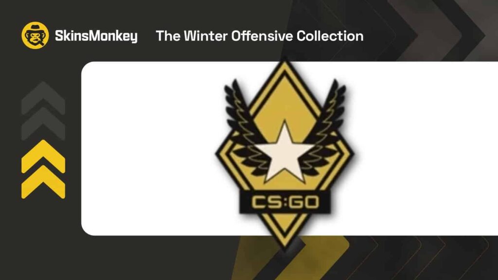 Winter Offensive Weapon Case