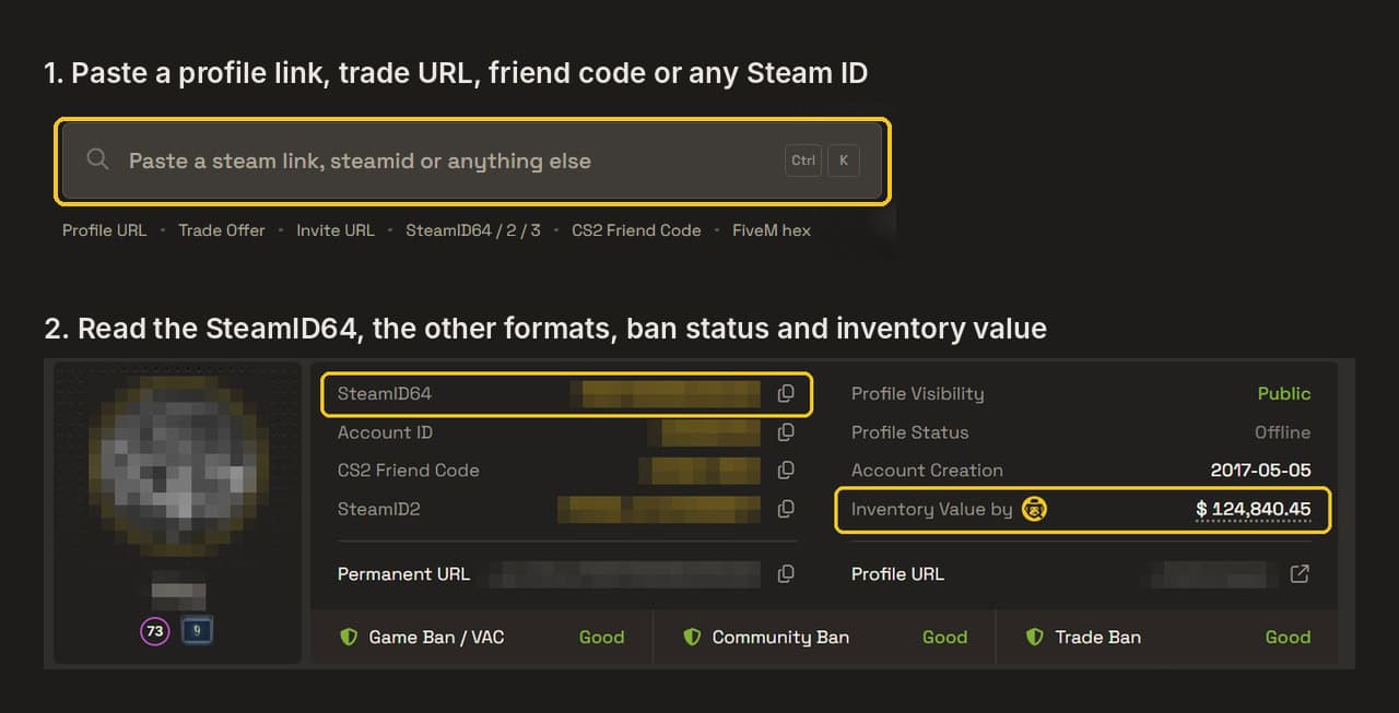 03b steam id finder before after anonymised