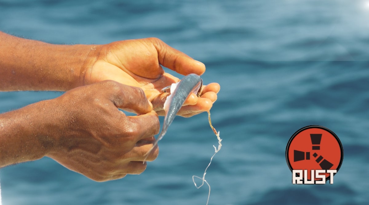 bait for fishing rust game