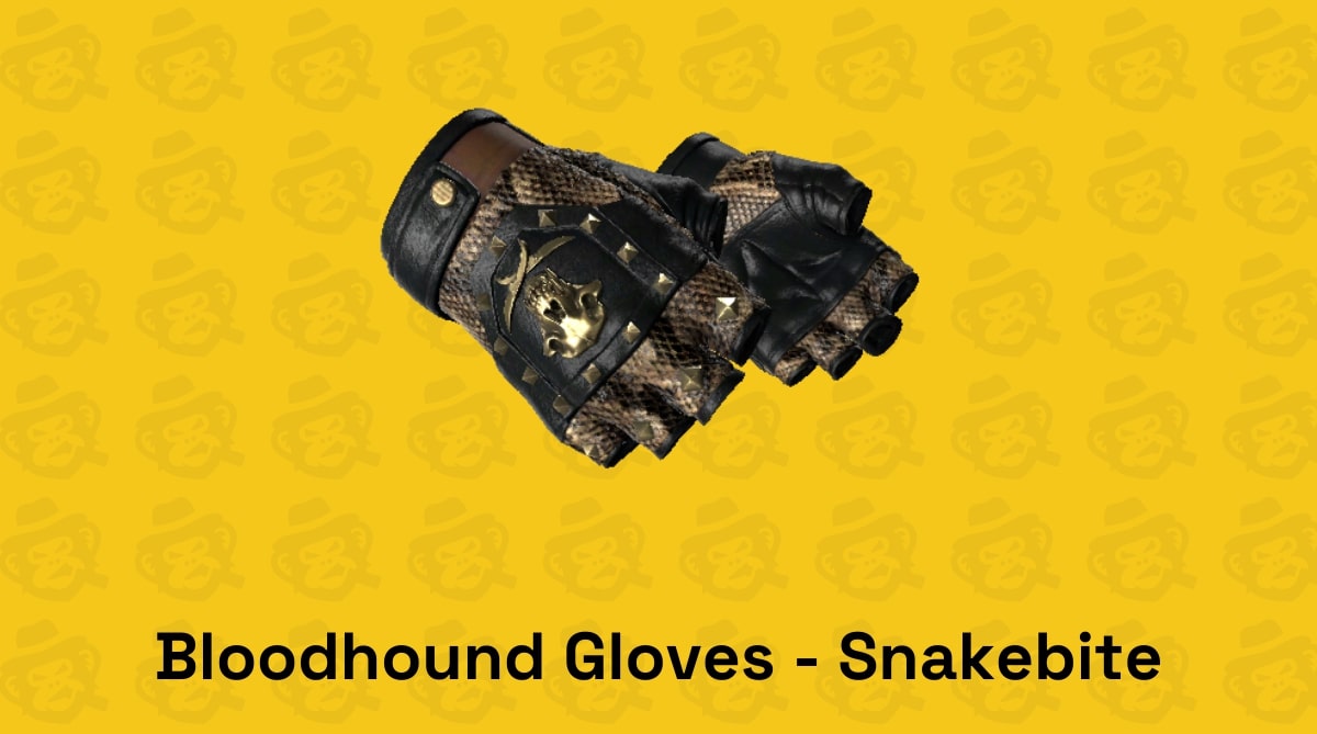 best gloves bloodhound gloves