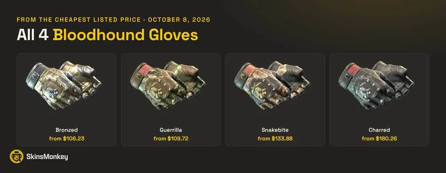 All 4 Bloodhound Gloves finishes in CS2 with starting prices