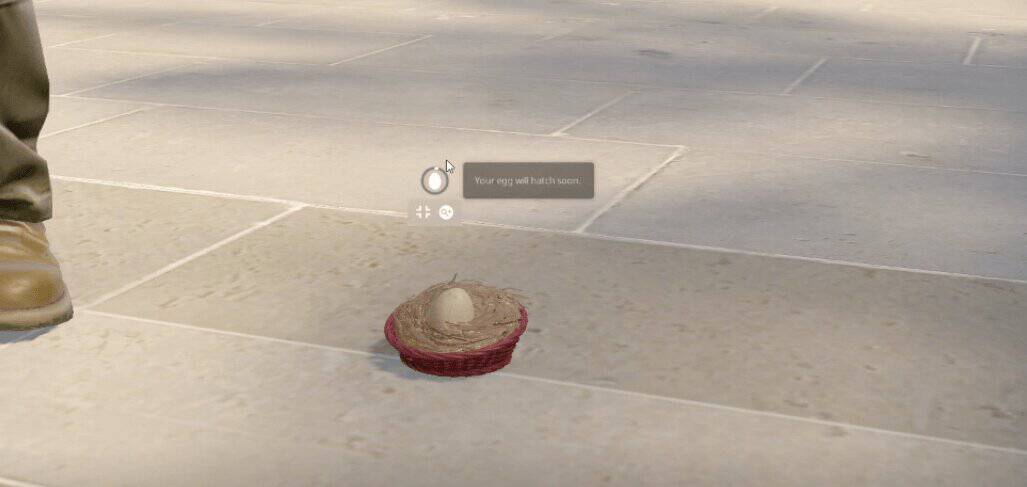 cs2 chicken egg hatch soon tooltip