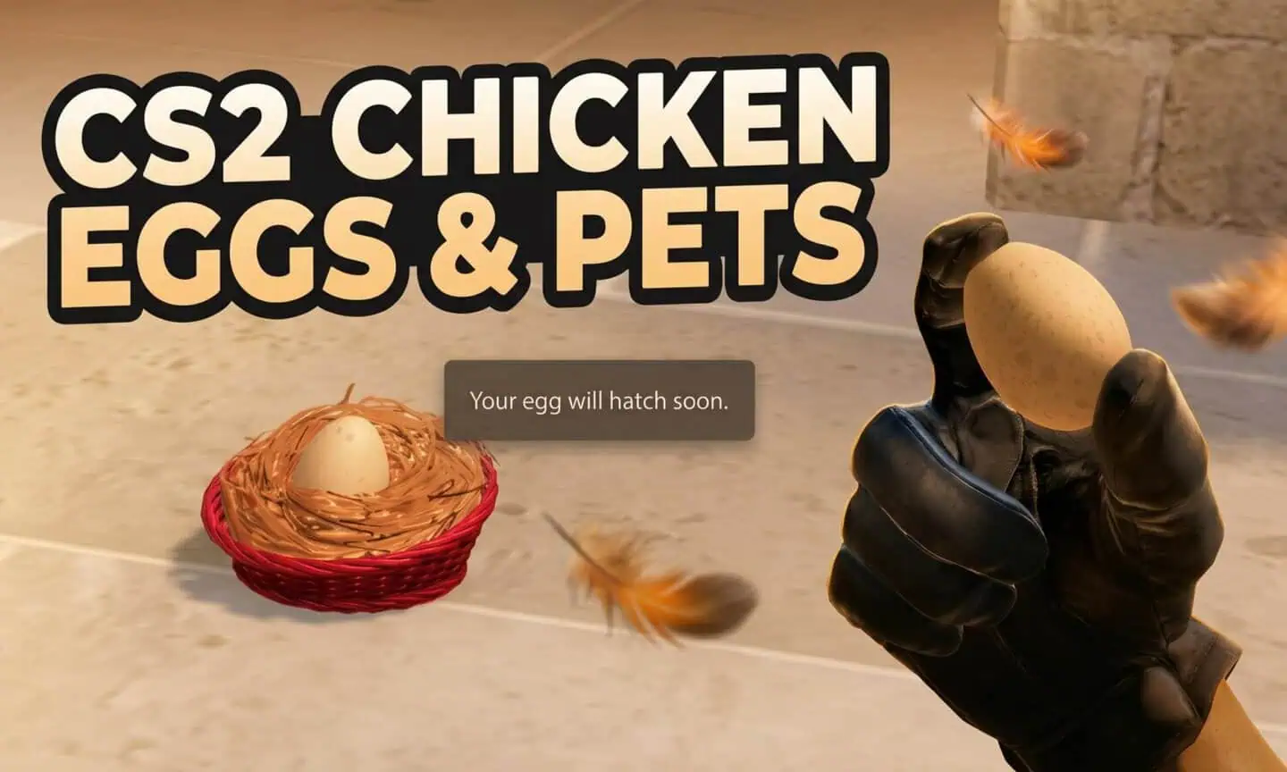 cs2 chicken eggs pets