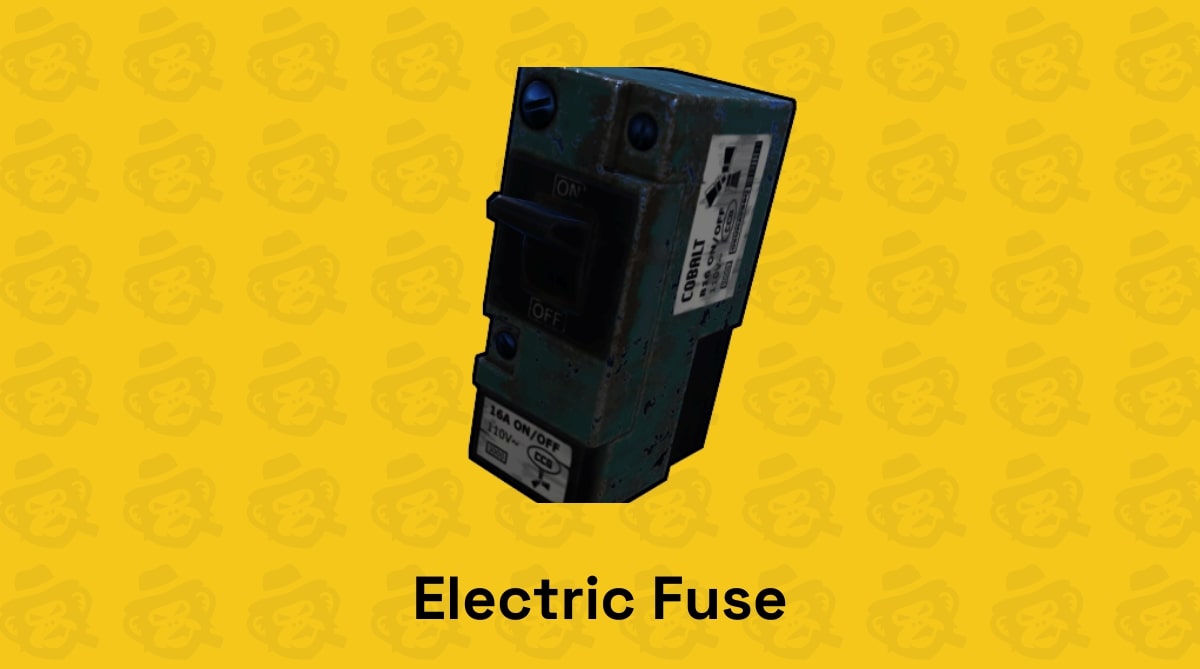 electric fuse 1