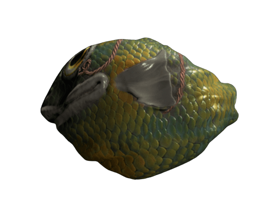 fish rock skin