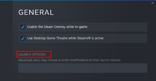 launch options rust