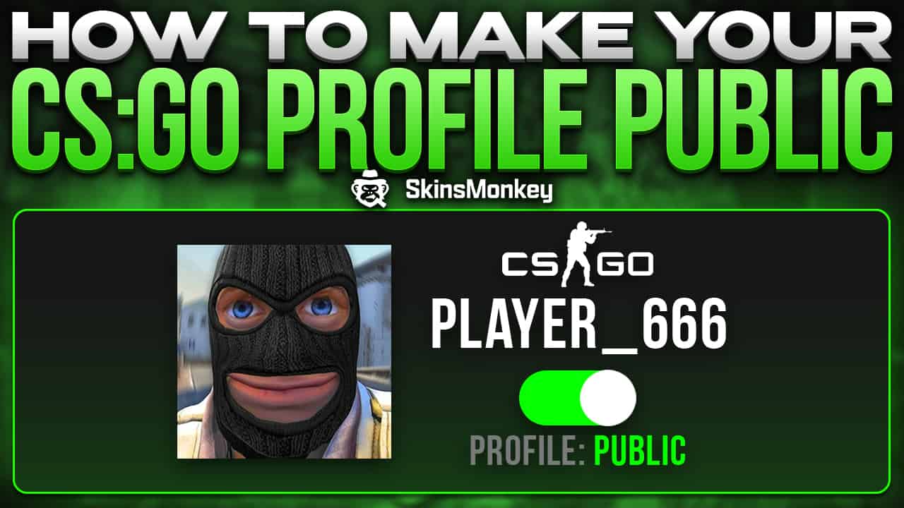 How To Make Your CS:GO Profile Public - Latest News from CS2 (CS:GO ...