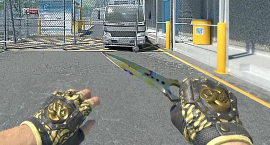 Skeleton Knife | Case Hardened + Broken Fang Gloves | Yellow-banded