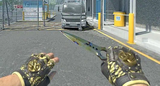 Skeleton Knife | Case Hardened + Broken Fang Gloves | Yellow-banded