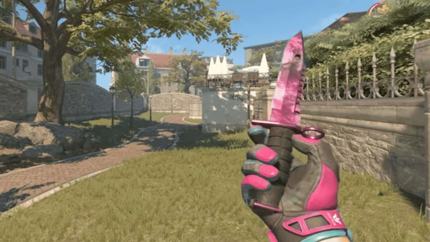 pink 41