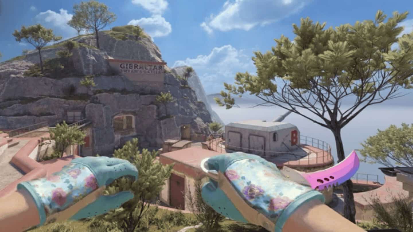 pink 61
