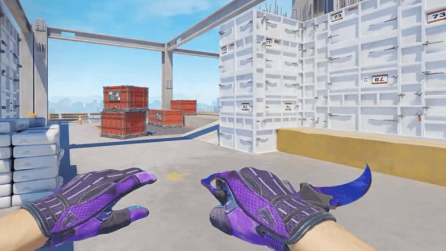 purple 6