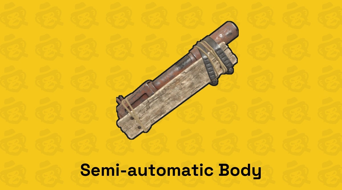 semi automatic body 1