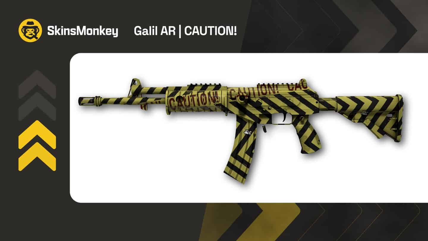 skinsmonkey galil ar caution