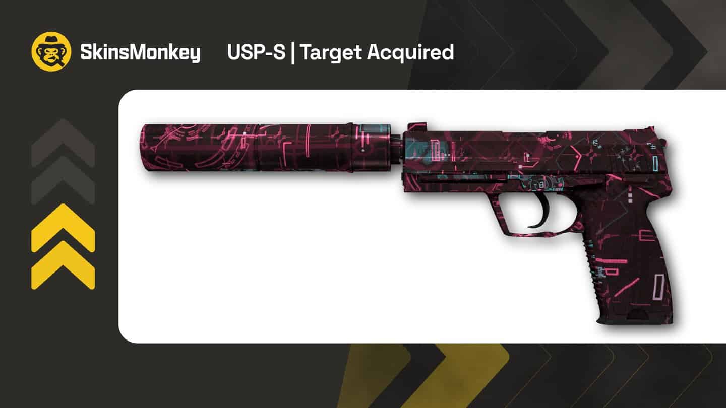 skinsmonkey usp s target acquired