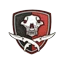 Patches