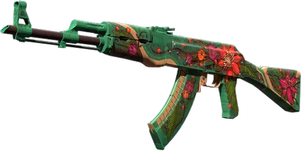 CS2 skin